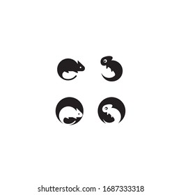 Lizard vector logo template icon