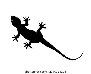 lizard vector on white background.lizard silhouette