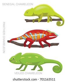 Lizard Veiled Chameleon Set Cartoon Vector Illustration