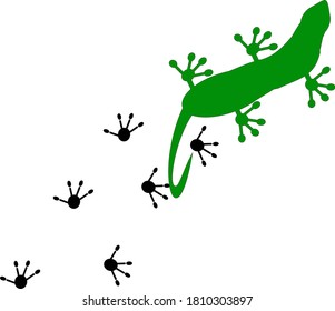 A lizard walking leaving lizard prints 