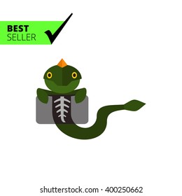 Lizard and X-ray