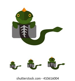 Lizard and X-ray