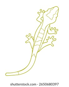 Lizards Crested Gecko Lizards Crested Gecko