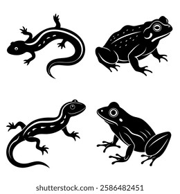 Lizards and Frogs Diverse Reptile and Amphibian Silhouette