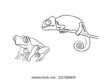 Lizards linear hand drawing vector illustration. Isolated on white backgroundfrog. Sketch of frog and chameleon. Set