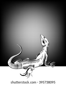 Lizards,
Lizards,All elements are in separate layers color can be changed easily.    
