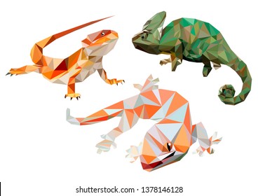 Lizards, in low poly. Vector. Three pets - lizards. Chameleon, gecko and bearded agama.