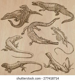 LIZARDS (pack no.2) - Collection of an hand drawn vector illustrations. Each drawing comprise a few layers of lines, the colored background is isolated. Easy editable.