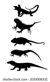 Lizards reptile set symbols. Frilled lizard symbol. Pet iguana silhouette. Chameleon shape shadow. Komodo dragon vector silhouette illustration isolated on white background. Varanus Komodo monitor.  