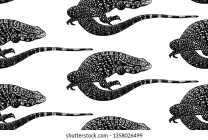 Lizards. Seamless pattern. Black and white reptile vector illustration. Hand realistic drawing. Vintage engraving.