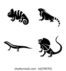 Lizards vector icons