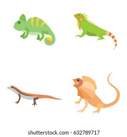 Lizards vector icons