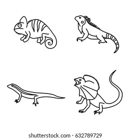 Lizards vector icons