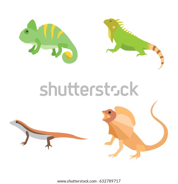 Lizards Vector Icons Stock Vector (Royalty Free) 632789717 | Shutterstock