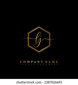 LJ Initial luxury handwriting logo vector