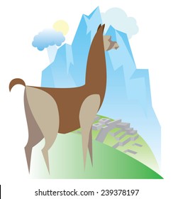 llama