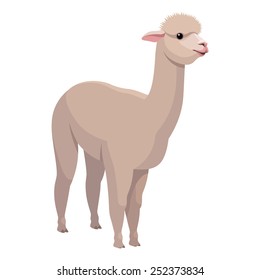 Llama