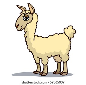 Llama;