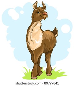 Llama.