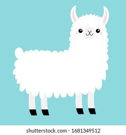 Llama Alpaca animal. Cute cartoon funny kawaii character. Baby face. Childish collection. T-shirt, greeting card, poster template print. Scandinavian style. Flat design Blue background Isolated Vector