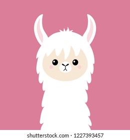 Llama alpaca animal face. Cute cartoon kawaii smiling funny character. T-shirt, greeting card, poster print. Childish baby collection. Flat design. Pink background. Vector illustration