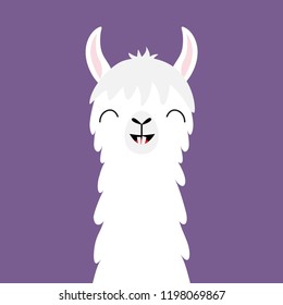 Llama alpaca animal face neck. Funny teeth. Fluffy hair fur. Cute cartoon kawaii character. Childish baby collection. T-shirt, greeting card, poster template print Flat design Violet background Vector