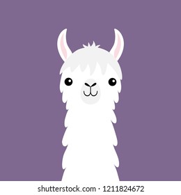 Llama alpaca animal face neck. Fluffy hair fur. Cute cartoon funny kawaii character. Childish baby collection. T-shirt, greeting card, poster template print. Flat design. Violet background. Vector