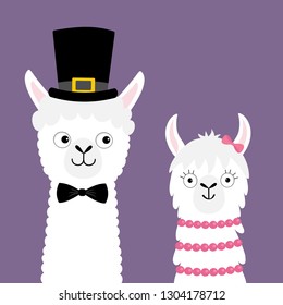 Llama Alpaca Animal Set. Love Couple. Happy Valentines Day. Girl Boy. Black Hat. Face Neck. Fluffy Hair Fur. Cute Cartoon Funny Kawaii Baby Character. Love Card. Flat Design. Violet Background. Vector