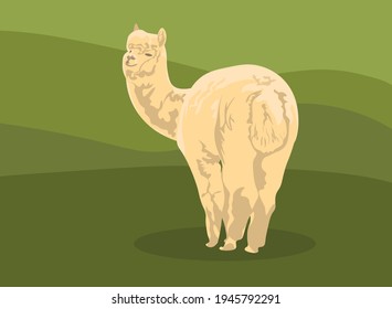 Llama alpaca beige cute realistic vector illustration. unique cartoon design for cards, posters, t-shirts, invitations. against the backdrop of nature