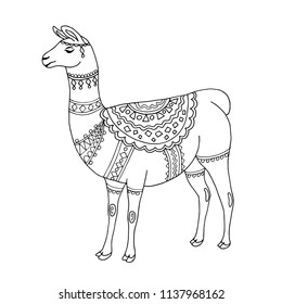 Llama or alpaca black and white. Line art. Ink. Template. Coloring antistress. Doodling. Vector