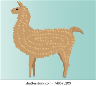 Llama, alpaca of brown color, fluffy, on a blue background
