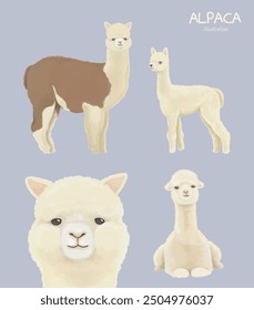 Llama and alpaca collection illustration of cute hand drawn