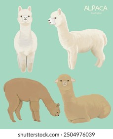 Llama and alpaca collection illustration of cute hand drawn