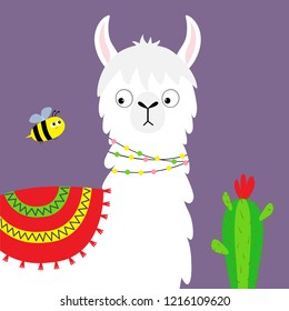 Llama alpaca face, bee, cactus. Childish baby collection. Cute cartoon funny kawaii character. Fluffy hair fur. T-shirt, greeting card, poster template print. Flat design. Violet background. Vector