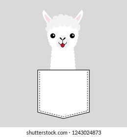 Llama alpaca face head in the pocket. Cute cartoon animals. Kawaii character. Dash line. White and black color. T-shirt design. Baby gray background. Isolated. Flat design. Vector illustration