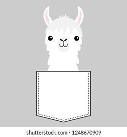 Llama alpaca face head in the pocket. Cute cartoon animals. Dash line. Kawaii character. White and black color. T-shirt design. Baby gray background. Isolated. Flat design. Vector