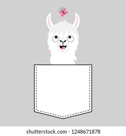 Llama alpaca face head in the pocket. Butterfly. Cute cartoon animals. Kawaii character. Dash line. White and black color. T-shirt design. Baby gray background. Isolated. Flat design. Vector