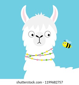 Llama alpaca face looking at bee. Childish baby collection. Cute cartoon funny kawaii character. Fluffy hair fur. T-shirt, greeting card, poster template print. Flat design. Blue background. Vector
