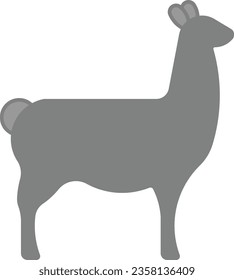Llama alpaca glama animal mammal