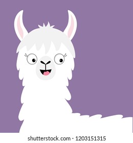 Llama alpaca happy head face. Cute cartoon funny kawaii smiling character. Childish baby collection. Fluffy hair fur. T-shirt, greeting card, poster template print Flat design Violet background Vector