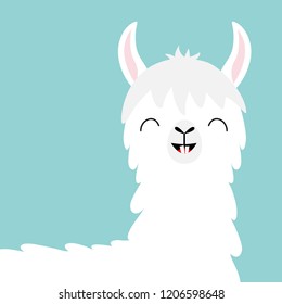 Llama alpaca head face. Tooth smile. Cute cartoon funny kawaii character. Childish baby collection. Fluffy hair fur. T-shirt, greeting card, poster template print. Flat design Blue background Vector