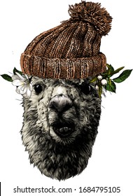 llama or Alpaca head funny expression of the muzzle with a displaced jaw and an incorrect bite in the cap and protruding leaves and flowers in all directions, sketch vector graphics color illustration