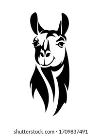 llama or alpaca head looking straight forward black and white vector outline portrait