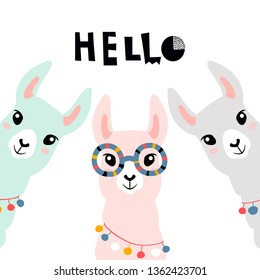 Llama Alpaca. Hello card. Vector illustration