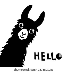 Llama Alpaca. Hello card. Vector illustration