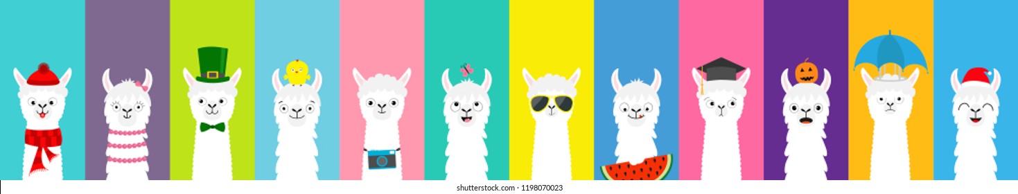 Llama alpaca set. Cute funny cartoon lama character. All seasons. Happy Valentines Christmas St Patrick day Easter Egg Bird Chicken Umbrella Santa hat, sun Flat design Colorful background Vector