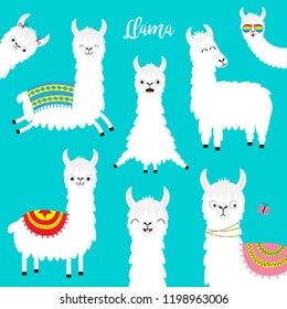 Llama alpaca set. Face glassess. Childish baby collection. Cute cartoon funny kawaii character. Fluffy hair fur. T-shirt, greeting card, poster template print. Flat design. Blue background. Vector