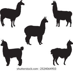 Conjunto de silhuetas Llama e Alpaca