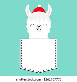 Llama alpaca sitting in the pocket. Santa Claus hat. Face with tooth. Cute cartoon character. Hello winter. Merry Christmas. Happy New Year. Blue background. Flat design. Vector illustration