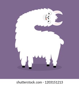 Llama alpaca turning head face. Cute cartoon funny kawaii character. Fluffy hair fur. Childish baby collection. T-shirt, greeting card, poster template print. Flat design. Violet background. Vector